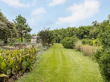 Property photo 51