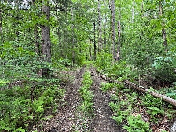 5th image of 121 Davis Mine Rd