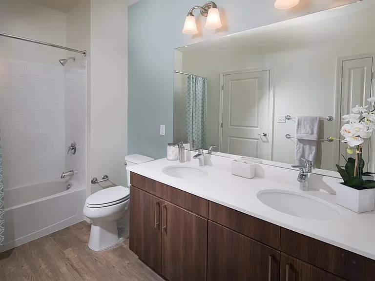 Phase 1 Apartment Home Bath