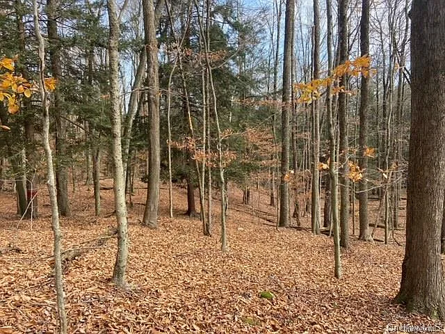 Glenwild Drive photo 1