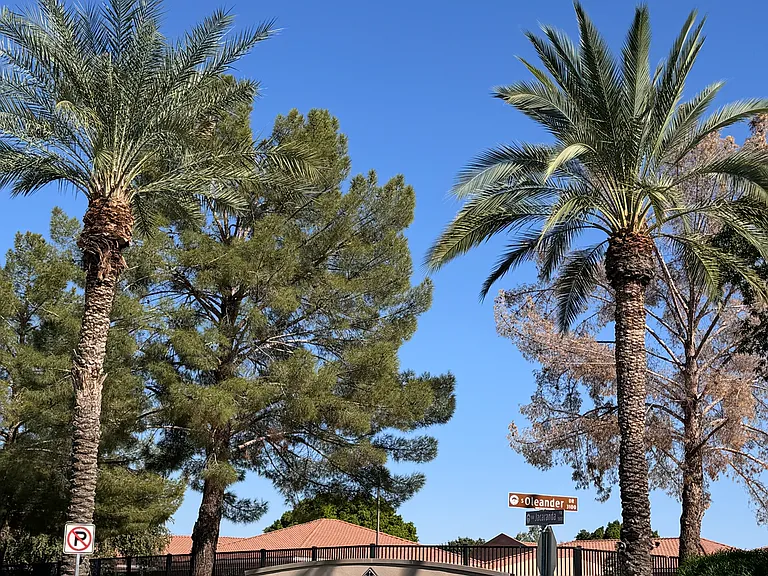 3340 S Oleander Dr — Photo 24