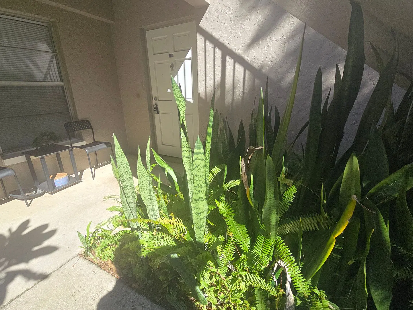 1-Bedroom, 1-Bathroom Apartment in Brandon — Photo 2