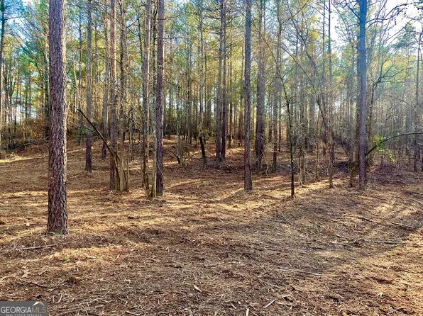 24 Apalachee Meadows Dr #1091, Madison, GA 30650