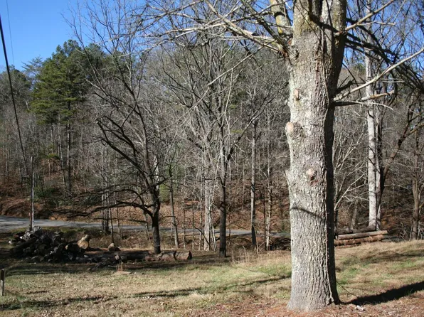 57 Blue Bird Rd, Mineral Bluff, GA 30559