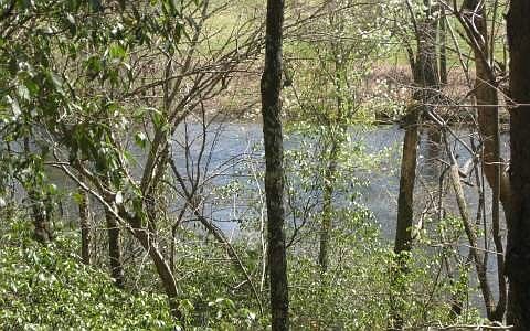 3rd image of 23 River Oaks Dr