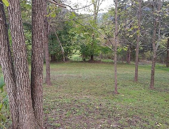 3rd image of 7 Wild Turkey Ln