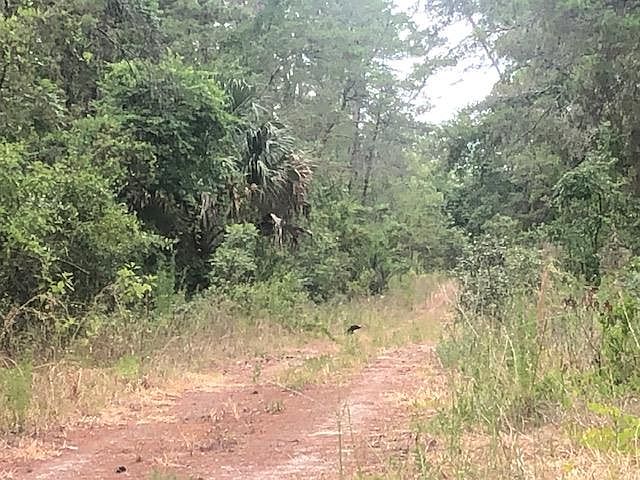 1st image of Lot 5 NE 236th Ln