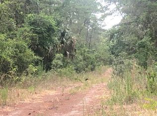 LOT 5 NE 236th Ln, Fort Mc Coy, FL 32134