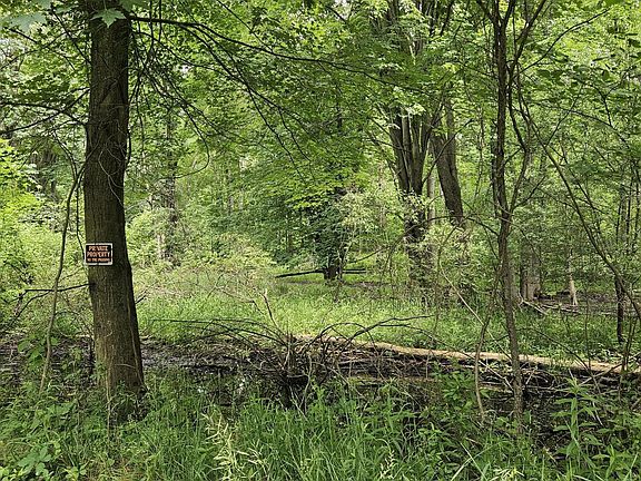 5th image of 0 Cayuga Trl