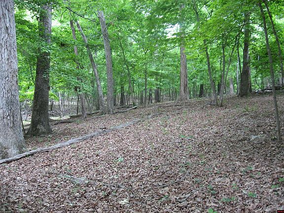 4th image of LOT Potawatomie Trl #L