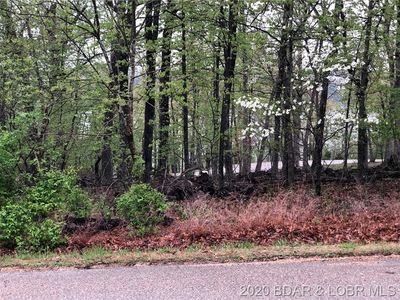 Turn Bridge Ln, Sunrise Beach, MO, 65079