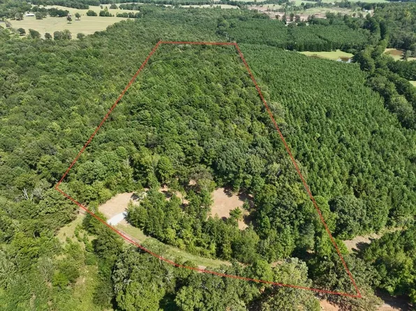 County Road 3449, Atlanta, TX 75551