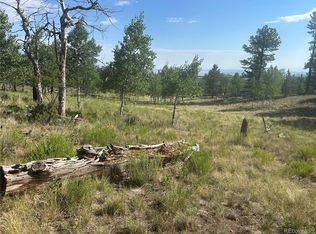 3361 Singletree Rd #1382, Hartsel, CO 80449