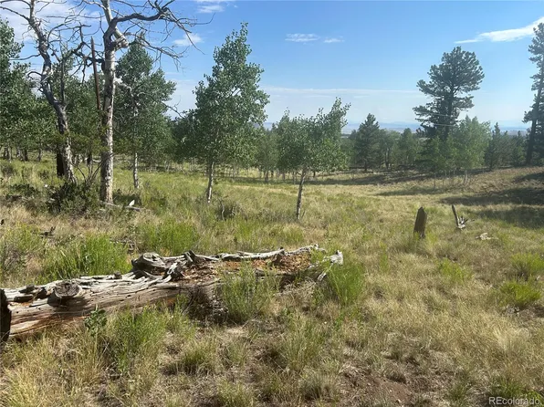 3361 Singletree Road LOT 1382, Hartsel, CO 80449