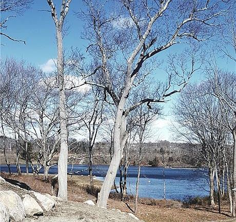 3rd image of 4 Ives Bluff Ct #4