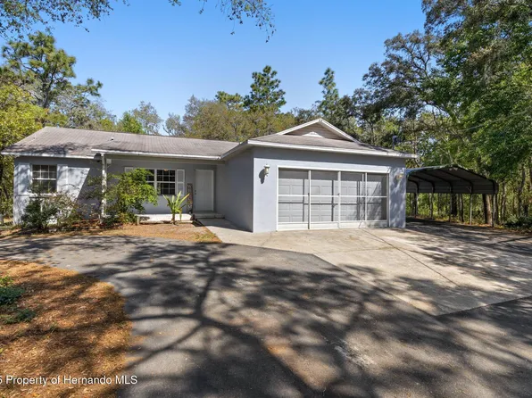 34193 Carpenter Cir, Webster, FL 33597