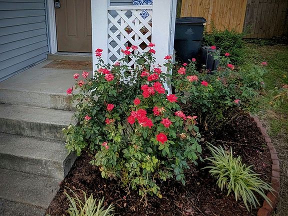 2nd image of 754 Lake Terrace Dr