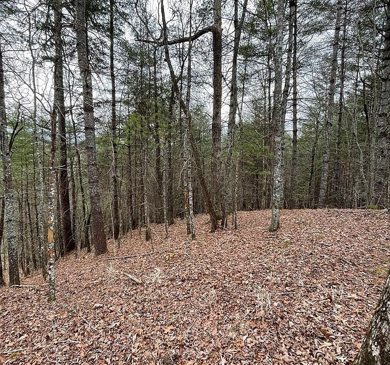 2nd image of LOT 62 Black Bear Trl