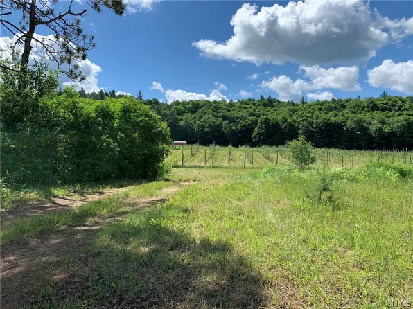 646 State Highway 3, Harrisville, NY 13648