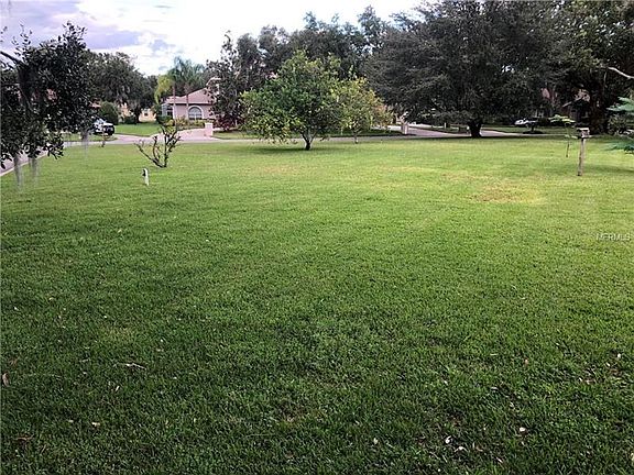 View of front yard with lemon trees from front door.