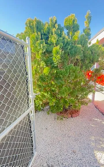 8804 Kenneth St — Photo 9