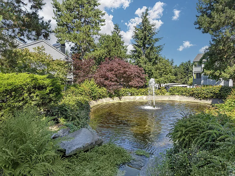 Beautiful ponds, fountains and waterfalls