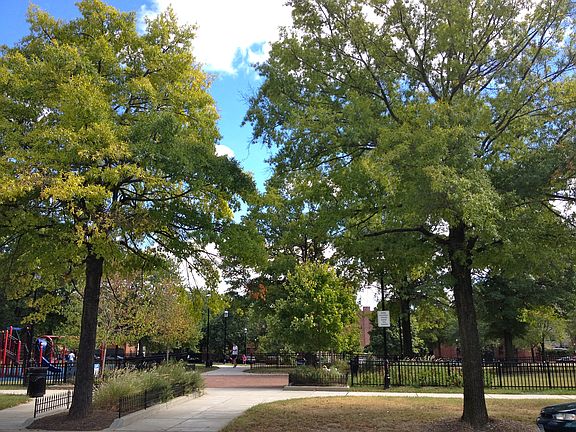 Park(visible from front room