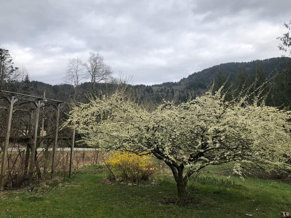 43742 Watkins Rd, Lake Errock, BC V0M 1G0 Zillow