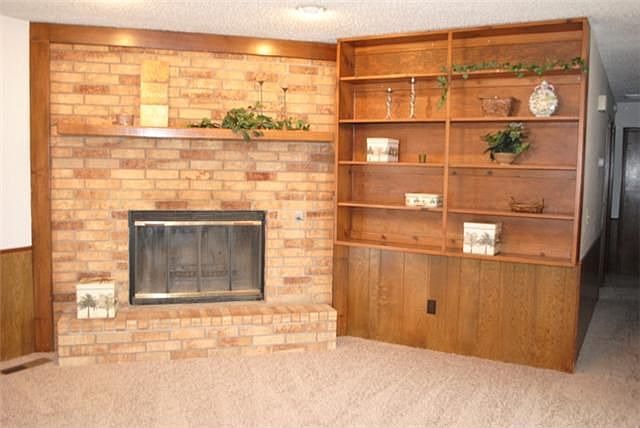 Beautiful wood burning fireplace 