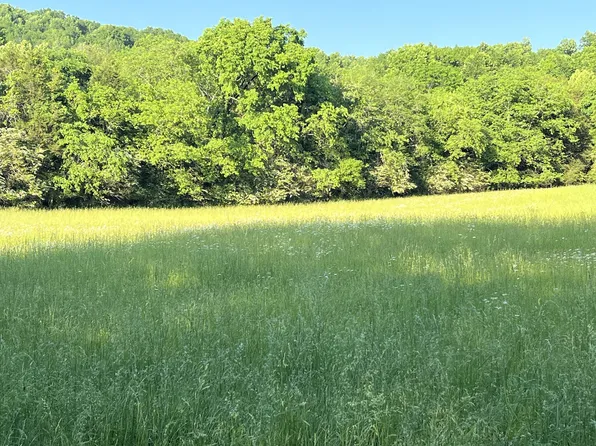 0 Reece Hollow Rd, Carthage, TN 37030