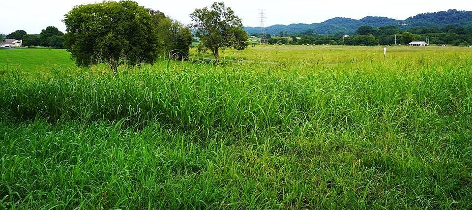 1st image of 2 Mount Horeb Rd Lot 2
