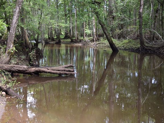Ohoopee River at its best