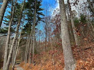 99999 Cowan Cove Rd, Asheville, NC 28806