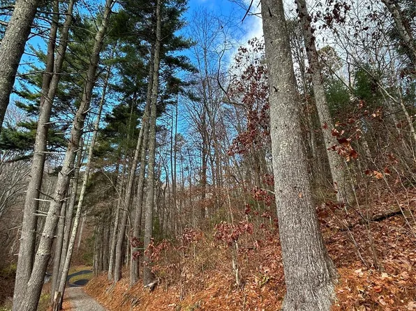 99999 Cowan Cove Rd, Asheville, NC 28806