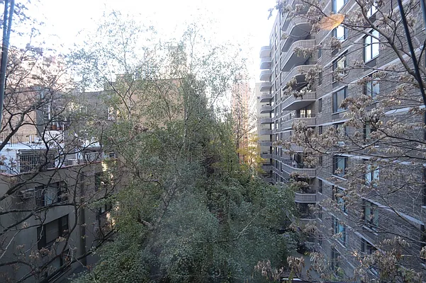 Rented by Douglas Elliman | media 3