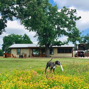 115 Leo Ln, Buchanan Dam, TX, 78609