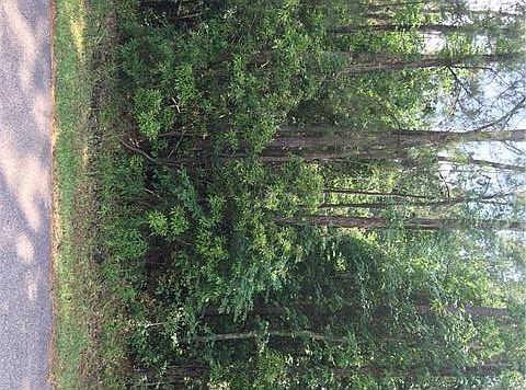 2nd image of 20162 Green Acres Dr
