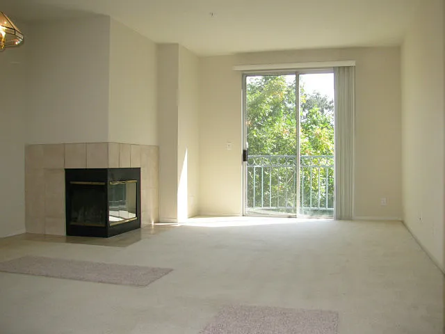 951 S 12th St #207 — Photo 10
