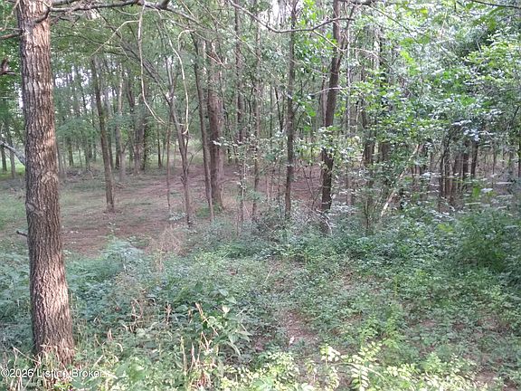 4th image of 4920 Youngers Creek Rd