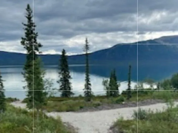 L6 B Keyes Point #9, Nondalton, AK 99640