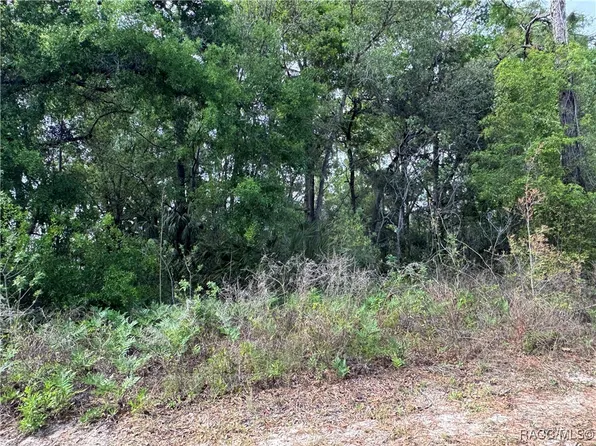 6662 W Yates Pl, Crystal River, FL 34429