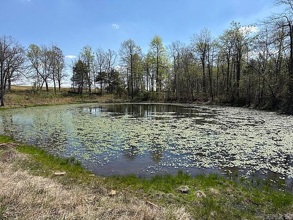 3rd image of Liberty Rd