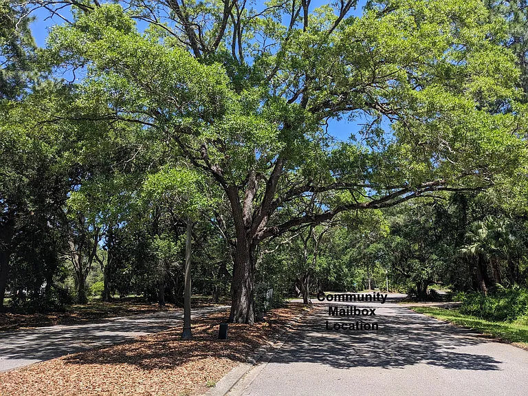 383 Gramercy Plantation Blvd #383 — Photo 34