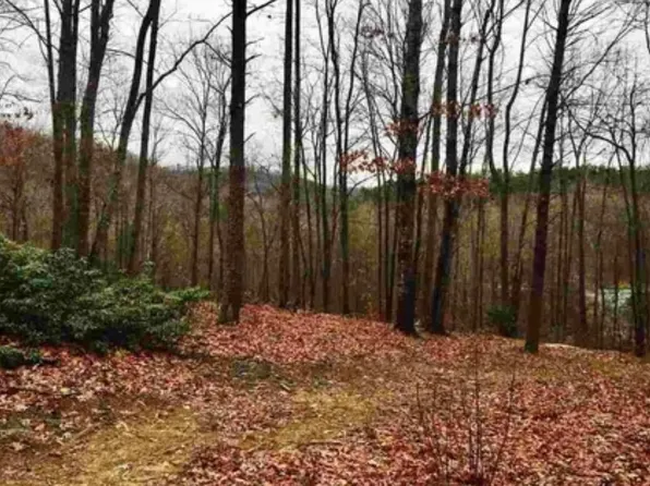 20 Windswept Ln, Travelers Rest, SC 29690