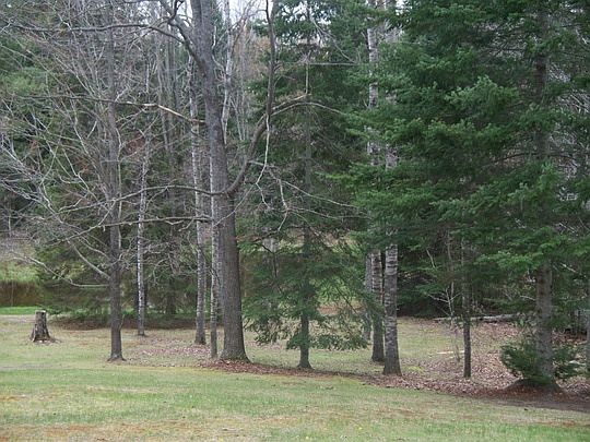5th image of 4401 Wildwood Trl