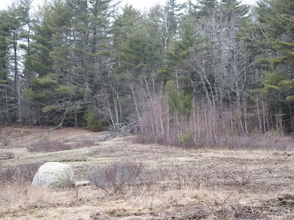 Lot 4 Lone Rock Meadow Lane, Surry, ME 04684