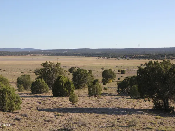 8500 TBD County Road 8500 Road #43, Concho, AZ 85924