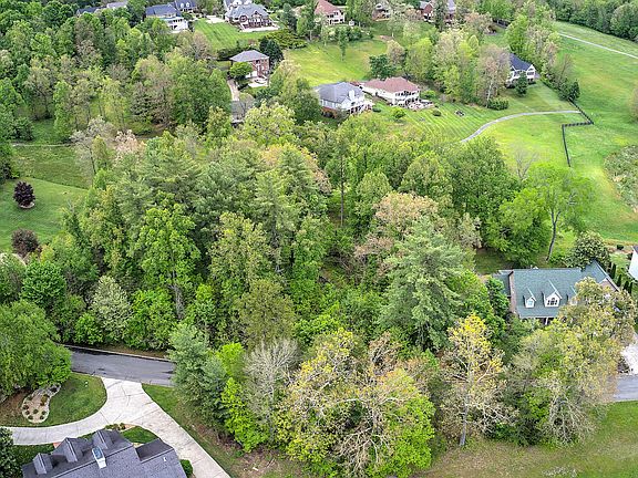 3rd image of LOT 8 Mountain River Dr