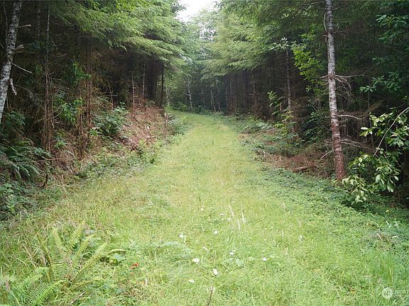 4th image of 0 Off of Wynooche Wishkah Road