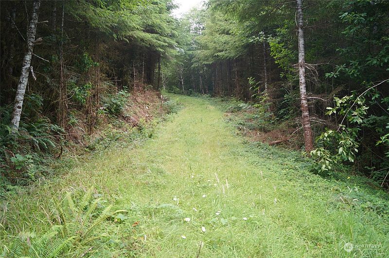 4th image of 0 Off of Wynooche Wishkah Road